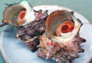 さざえの壺焼き